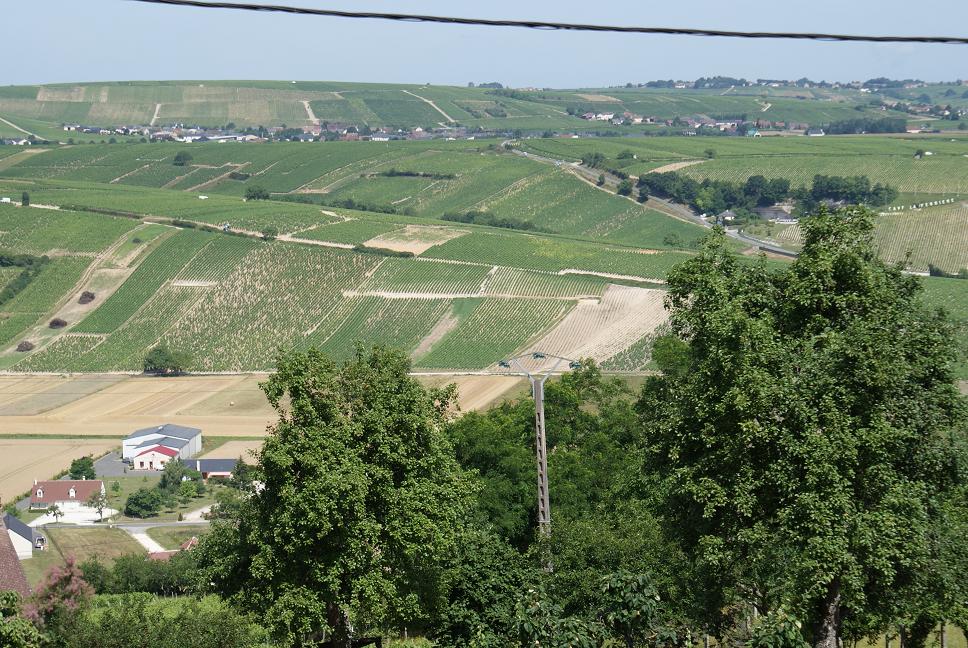 Vinmarker ved Sanserre